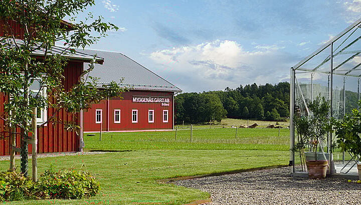 Maskinhallar | BORGA