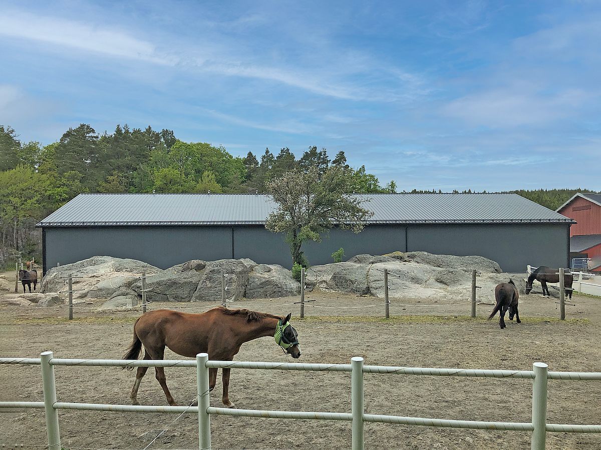 Ridehall Søgne | BORGA