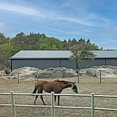 Ridehall Søgne | BORGA