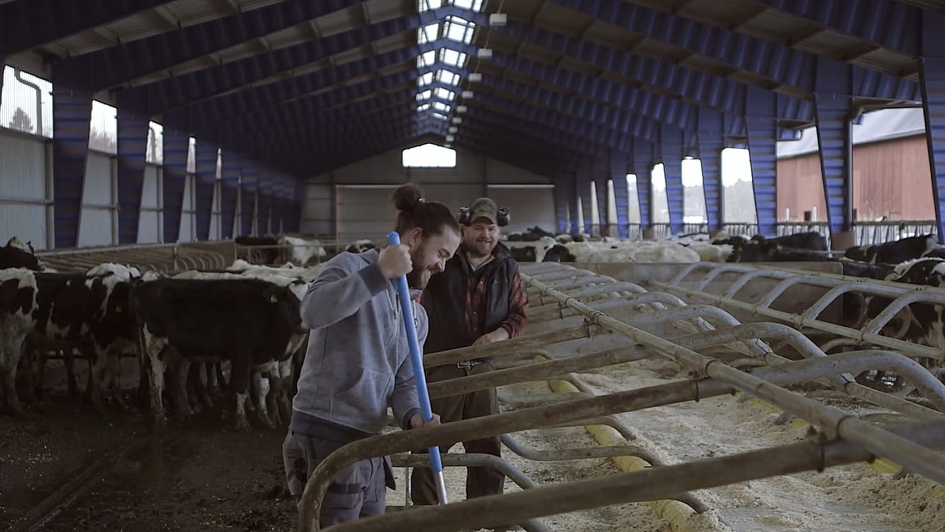 Agricultural Movie | BORGA