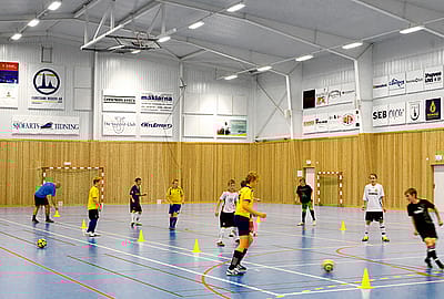 Sportas ir jojimas | BORGA