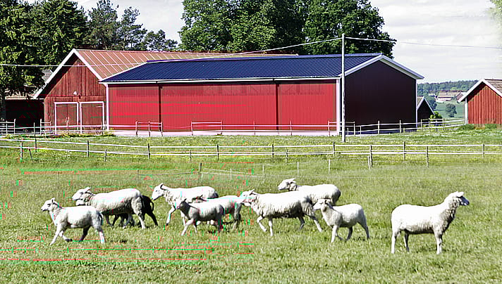 Fårstallar | BORGA