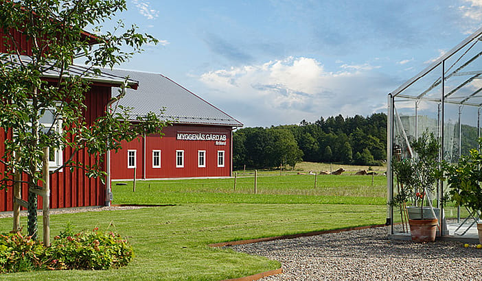 Maskinhallar | BORGA
