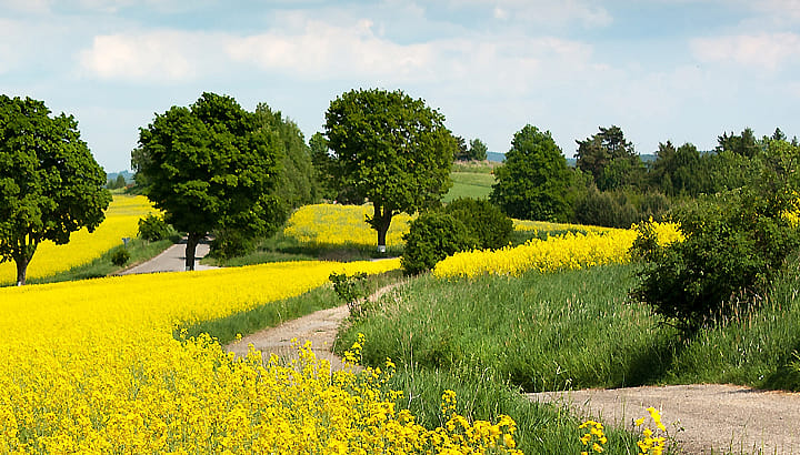 Miljö- och hållbarhetspolicy | BORGA