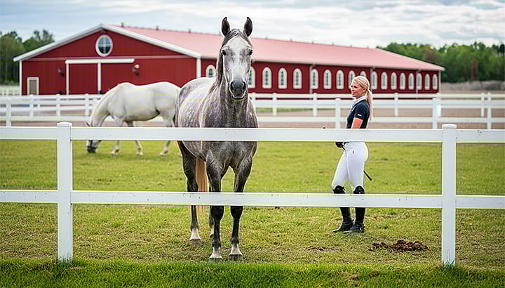 Ridhus - Trygghet hela vägen | BORGA